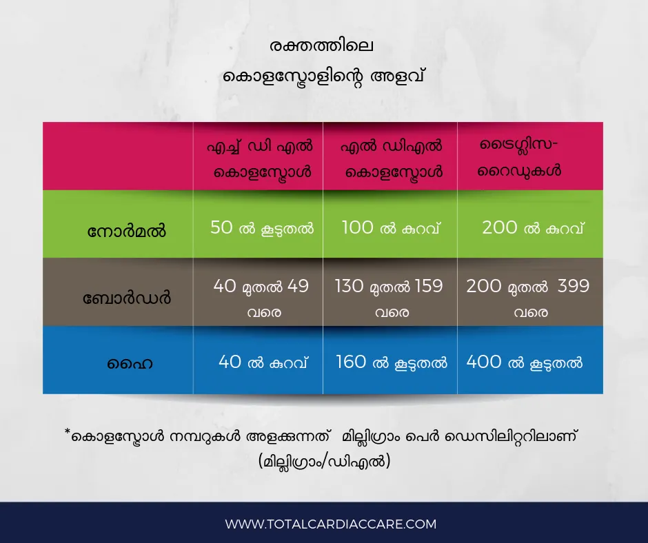 The same cholesterol chart in Malayalam. HDL: normal above 50, borderline 40 to 49, high below 40. LDL: normal below 100, borderline 130 to 159, high above 160. Triglycerides: normal below 200, borderline 200 to 399, high above 400. Measured in milligrams per decilitre.