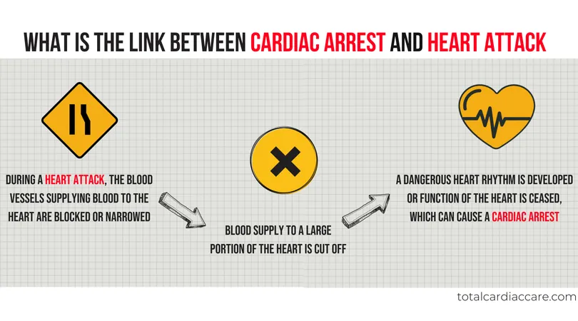 Infographic: What is the link between cardiac arrest and heart attack. During a heart attack the blood vessels supplying the heart are blocked or narrowed, blood supply to a large portion of the heart is cut off, and a dangerous heart rhythm develops or the heart ceases to function, which can cause a cardiac arrest.